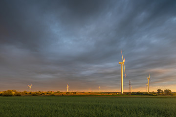 Fields with windmill for electric power production in Polish countryside. Europe