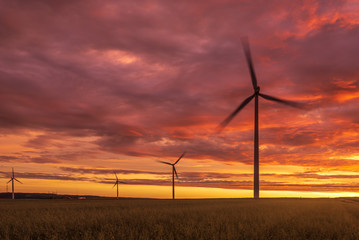 Fototapeta na wymiar Windmills for electric power production at sunset time. Poland, Europe