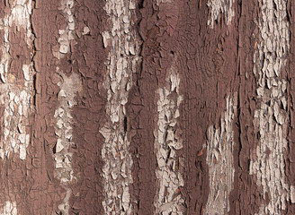Texture of old brown wooden fence with peeled paint