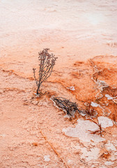 Mineral structures of hot springs, USA
