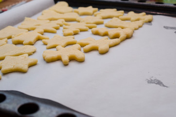 Dough cookies lie on a tray before baking