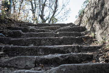 old stone stairs on a mountain road in Romania. closeup macro shoot. forest road