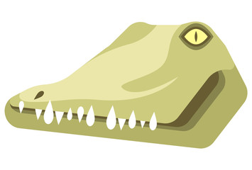 Crocodile portrait made in unique simple cartoon style. Head of crocodile or alligator. Isolated icon for your design. Vector illustration