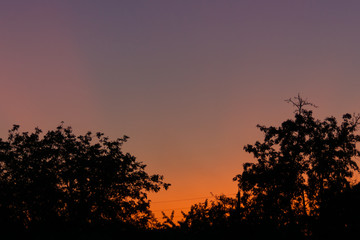 Evening sunset in the village a far away from the city. The sky is saturated with orange and blue colours. On foreground silhouttes of trees. Underexposed low light photo.