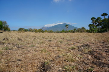 The expanse of the savanna is dominated by dry grass and several trees that spread widely against the background of mountains and canyons.