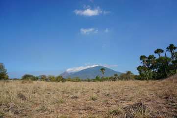The expanse of the savanna is dominated by dry grass and several trees that spread widely against the background of mountains and canyons.