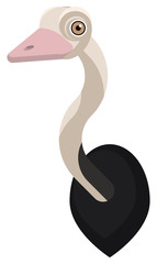 Ostrich portrait made in unique simple cartoon style. Head of African ostrich. Isolated icon for your design. Vector illustration