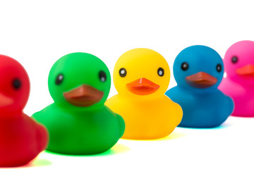 A row of rubber ducks on a white background. Bright colored rubber ducks in a line. Rubber ducks in a row isolated on a white background