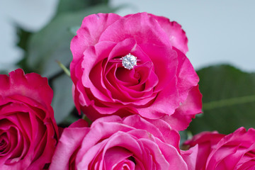 beautiful pink roses and an engagement ring with a diamond, the concept of Valentine's day or engagement party