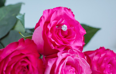beautiful pink roses and an engagement ring with a diamond, the concept of Valentine's day or engagement party
