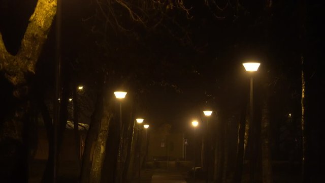Lanterns in a park with naked trees at night in winter without snow. Yellow lights of the lamps illuminate the path. The footage filming on the move.