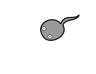 おたまじゃくし２(色)