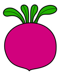 大きなカブ(紫)