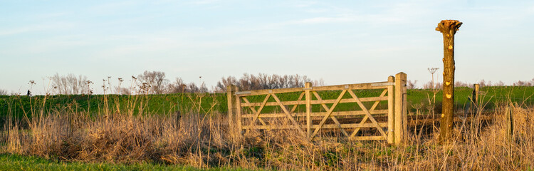 Fence in Dutch polder landscape