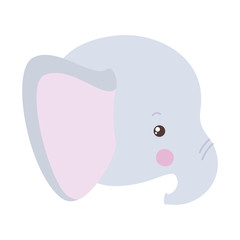 Cute elephant cartoon vector design