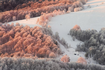 winter landscape, forest and snow