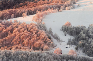 winter landscape, forest and snow © uranos1980