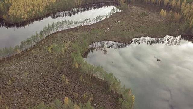 Clear cut logging area at forest between lakes with buffer zone of trees on the shore