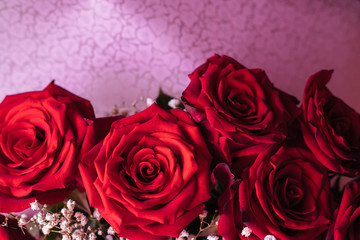 Roses. Bouquet. Red flowers. Buds close up.
