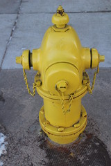 yellow fire hydrant