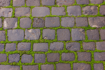 Dark grey bricks with green grass