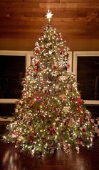 Large, Stunning Rustic Christmas Tree Lit Up with White Lights