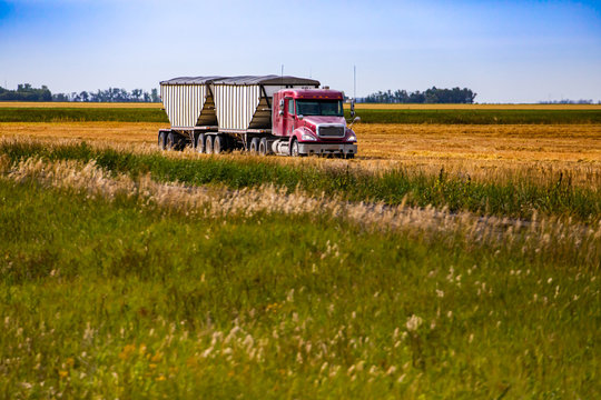 A wide angle view of a red lorry pulling two large trailers through farmland in Alberta, Canada. Agronomy and agribusiness concept with copy space