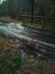Camino con lodo, agua, tierra con formas de rueda