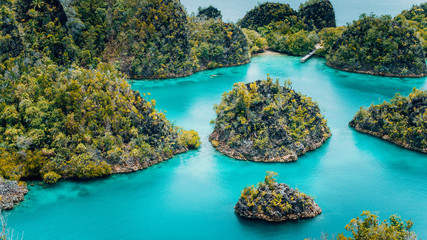 Pianemo Islands, Blue Lagoon with Green karst limestone Rocks, Raja Ampat, West Papua. Indonesia