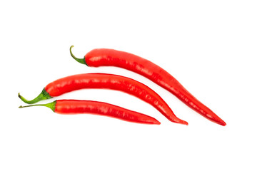 One red chilli peppers isolated on white background