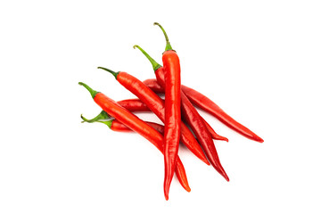 One red chilli peppers isolated on white background