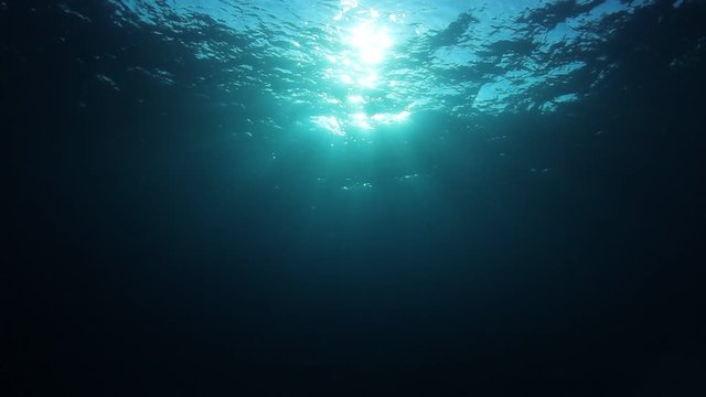 Underwater background video 