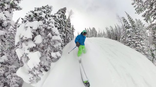 SELFIE: Male skier shreds fresh powder during a tree skiing trip in Park City. Man on fun skiing adventure in America cruises past a small pine tree forest in Utah. Extreme skier shredding powder.