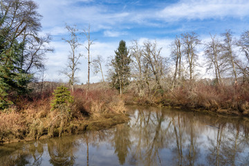 Fototapeta premium Preachers Slough, Montesano, Washington State