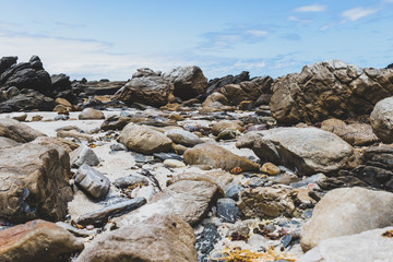 rocks on the beach