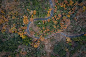 Nara Winding Road Through Autumn Mountains, Top Down Aerial
