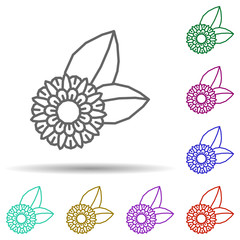 Flower, plant multi color style icon. Simple thin line, outline vector of dia de muertos icons for ui and ux, website or mobile application