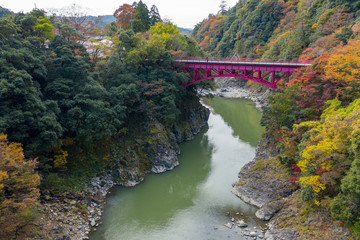 Fototapeta na wymiar Eigenji River and Red Iron Bridge, Shiga, Japan. Autumn Colors