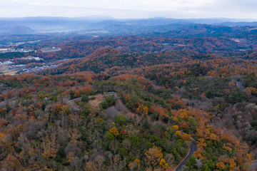 Autumn color in hills of Nara, Japan Wide Panoramic View