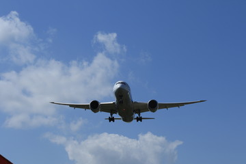 飛行機