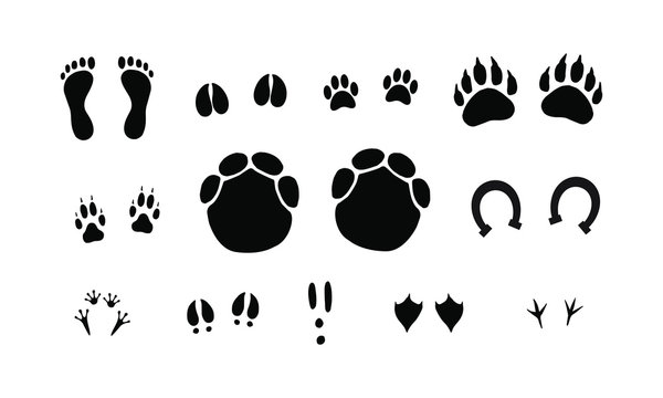 Vector set bundle of black outline different animals foot print isolated on white background