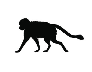 Vector black monkey silhouette isolated on white background