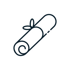 Isolated graduation diploma and bowtie vector design