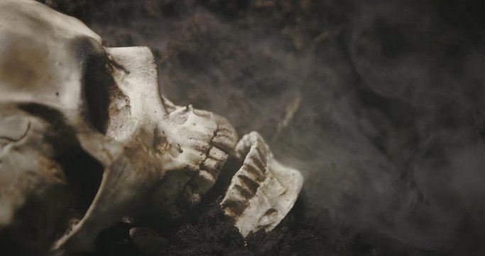 Human skull on the wet soild with smoke flowing