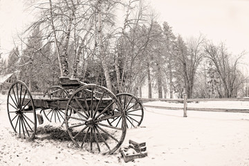 Fototapeta na wymiar White and white buckboard in the snow