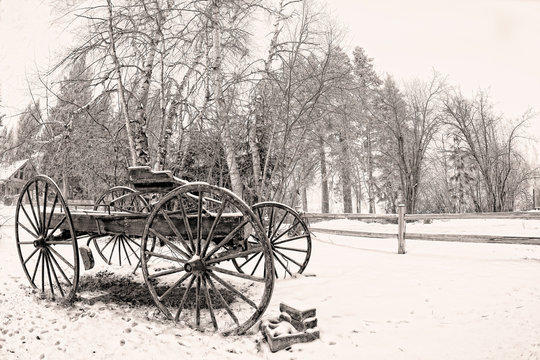 White and white buckboard in the snow