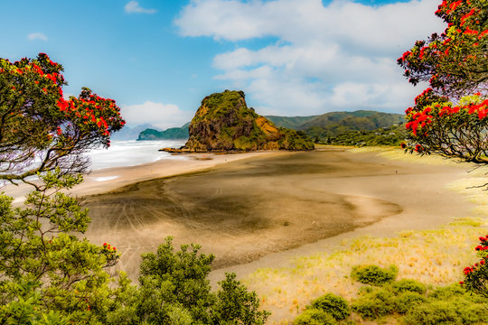 Piha Beach, New Zealand