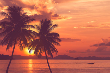 Fototapeta na wymiar tropical palm tree and sea sunset summer background