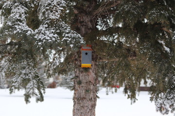 birdhouse on a winter day