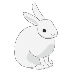 うさぎ